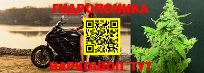 дурь Жуковский