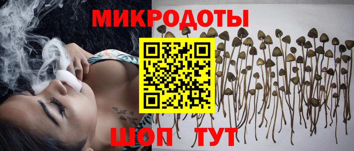 Качканар  Галлюциногенные грибы MAGIC MUSHROOMS  Вход с VPN 